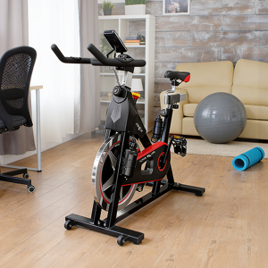 BICICLETA ESTÁTICA BS-P00142