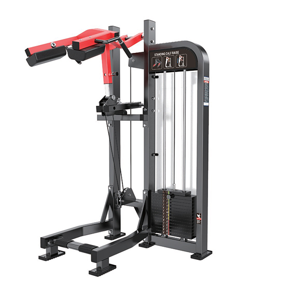 PANTORRILLERA PARADA CON PLACAS TF017 MAQUINA PROFESIONAL DE GIMNASIO